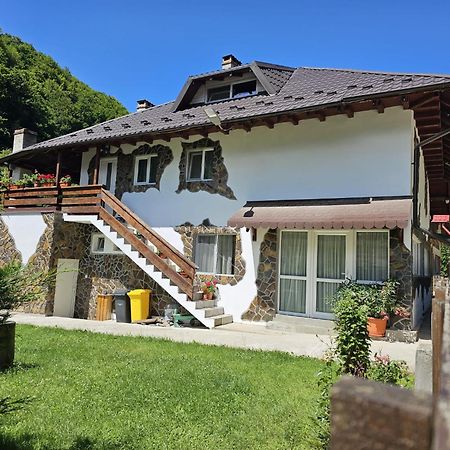Pensiunea Ardeleanu´ Slamnesti Exterior foto