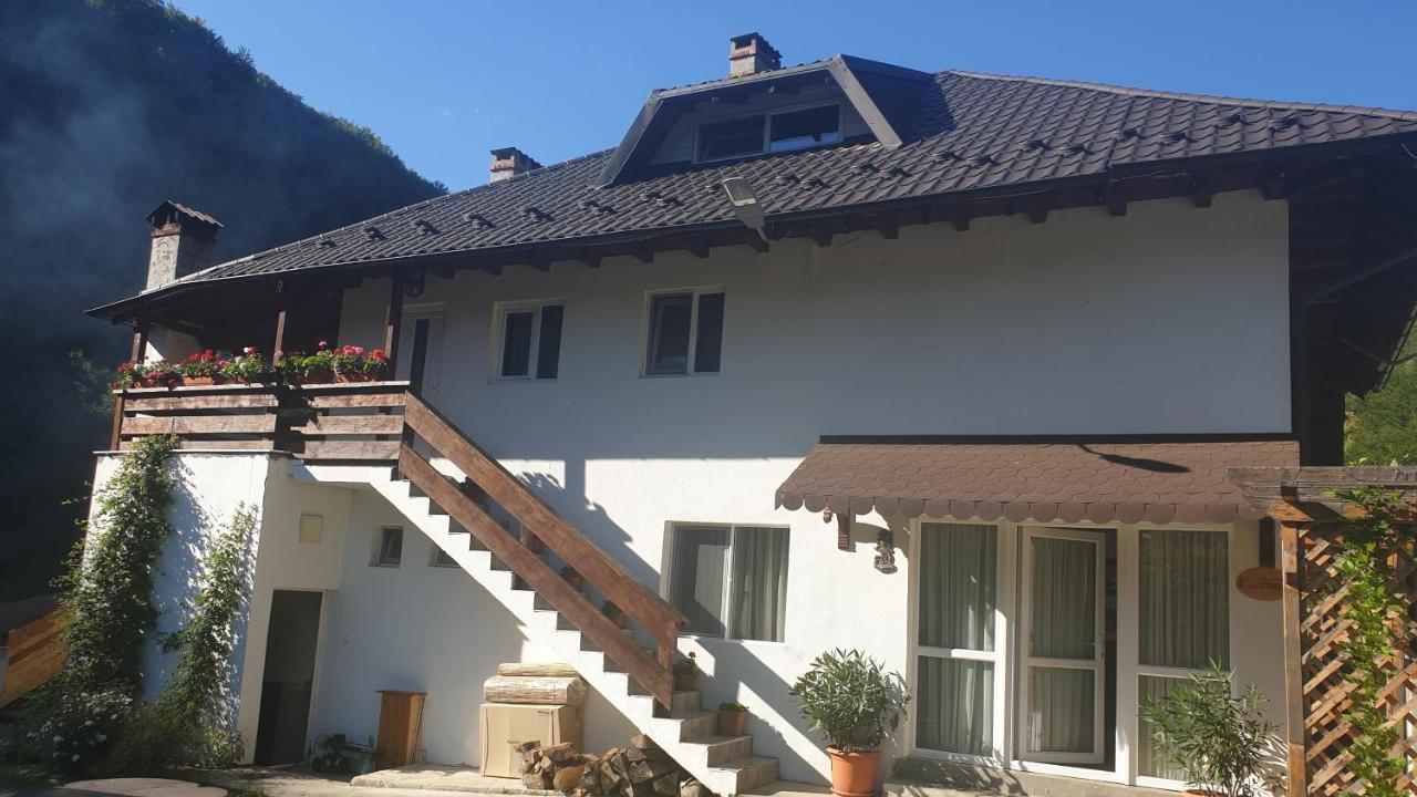 Pensiunea Ardeleanu´ Slamnesti Exterior foto